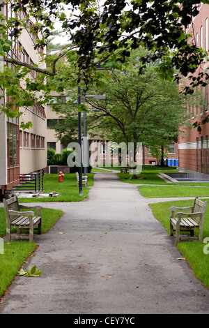 Ein Pfad zwischen den komplexen Gropius und Hauser Hall auf dem Campus der Harvard Law School in Cambridge, MA. Stockfoto