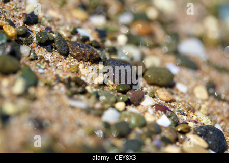 Strand Steinen Hintergrund mit schönen defokus Stockfoto