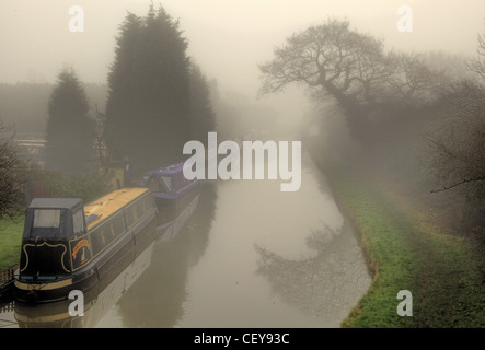 Nebligen Morgen auf dem Trent & Mersey Kanal bei Rudheath, Northwich Stockfoto