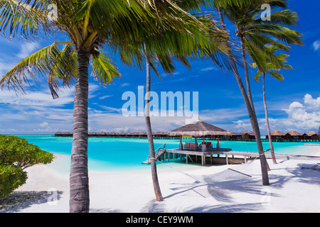 Leere Hängematte zwischen Palmen am tropischen Strand Stockfoto