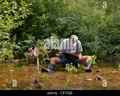 Ein Mann sitzt in einem Stream Goldwaschen mit seinem Hund an seiner Seite. Stockfoto