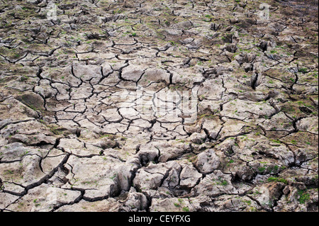 Trockenen knacken Lehm Boden Seegrund in der indischen Landschaft Stockfoto