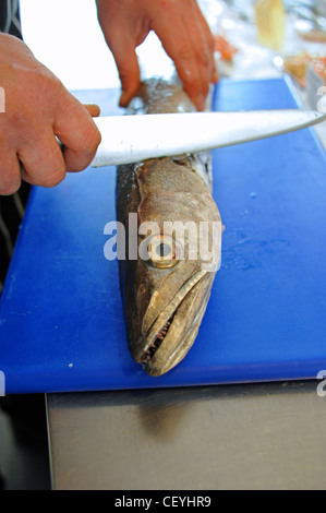 Britische Fischhändler mit Messer und eine ganze Seehecht Stockfoto