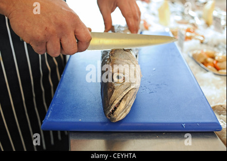 Britische Fischhändler mit Messer und eine ganze Seehecht Stockfoto