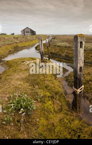 Großbritannien, England, Isle Of Wight, Newtown Salzwiesen, morsche alte Holzzaun Beiträge neben Kanal Stockfoto