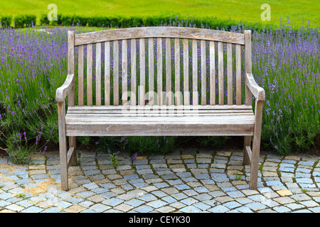 Holzbank im schönen Lavendelgarten Stockfoto