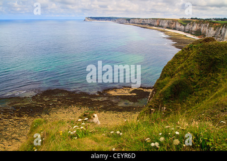 Klippen in der Nähe von Etretat und Fecamp, Normandie, Frankreich Stockfoto