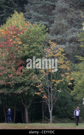 Männliche und weibliche Goinga Spaziergang im Wald Thetford, Norfolk, Großbritannien Stockfoto