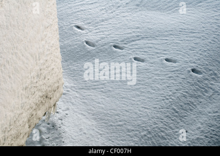 Schneeverwehungen und Schritte. Stockfoto