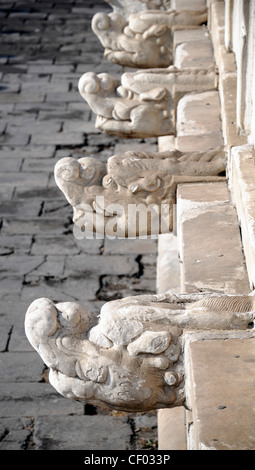 Drachen Kopf Wasser Auslauf Skulptur Design Feature Marmor Terrasse Palastmuseum Peking China Beijing Chinesische Mythologie Stockfoto