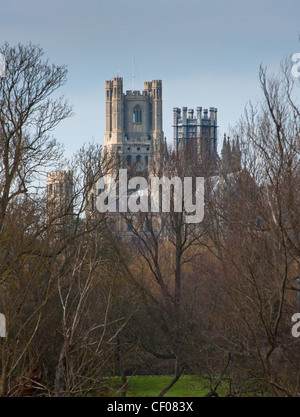 Eine landschaftlich reizvolle Schuß aus über die Fens von Ely Cathedral, Ely, Cambridgeshire, England. Stockfoto