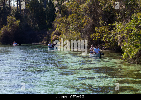 entlang der Weeki Wachee Fluss Florida Usa, Flusslandschaft, Weeki Wachee Springs, Weeki Wachee Staatspark, Weeki Wachee Fluss Stockfoto