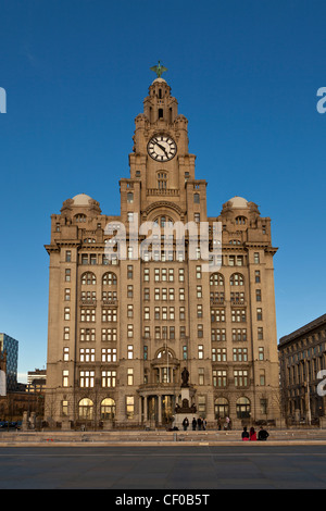 Das Royal Liver Building, Liverpool Stockfoto