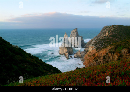 Wilde Küste am Strand von Ursa, Sintra, Portugal Stockfoto