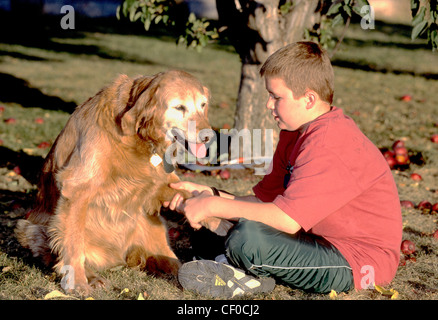 Kleiner Junge mit alten golden retriever Stockfoto