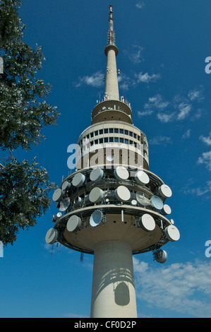 Black Mountain Tower-Canberra-Australien Stockfoto