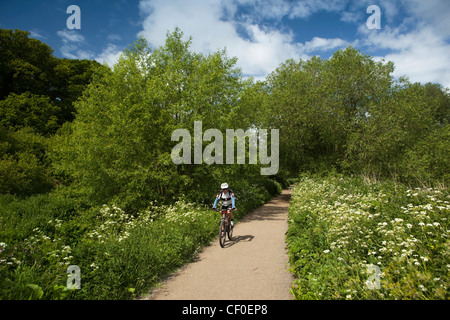 Großbritannien, England, Isle of Wight, Alverstone, Radfahrer, Radfahren entlang Yar Flusspfad Stockfoto