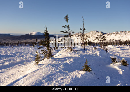 Verschneite Winterlandschaft. Wilde Natur in Russland. Nationalpark Taganay. Taiga. Sibirien. Ural-Gebirge. Stockfoto