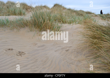 Einsame Wanderer in den Sanddünen, Camber Sands, Winter-Strand Stockfoto