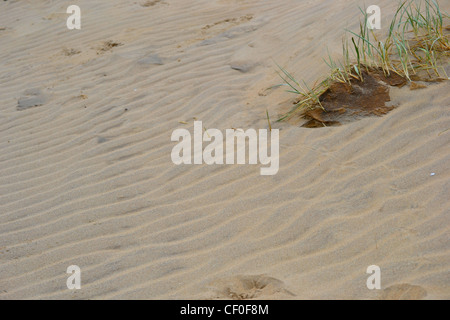 Abstrakte Muster in den Sand und Strandhafer auf den Dünen Camber Sands in East Sussex Stockfoto