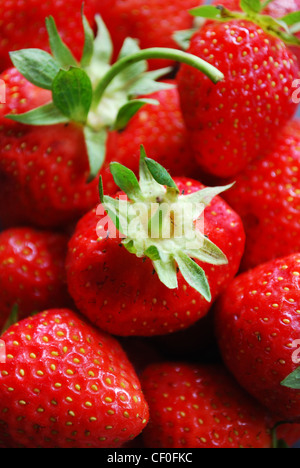 Nahaufnahme von frischen Erdbeeren als Hintergrund Stockfoto