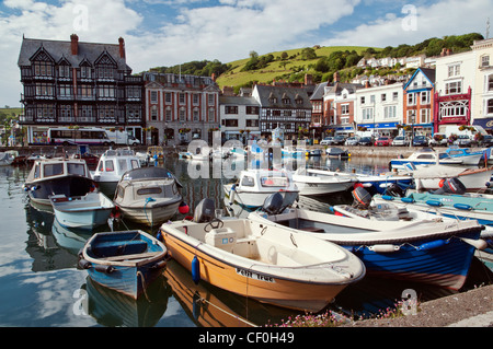 Dartmouth Marina an einem hellen Sommern Morgen, Dartmouth, Devon, England. Stockfoto