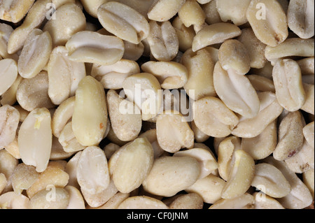 Geschälten Erdnüsse als Vogelfutter für Vögel am Futterhaus im winter Stockfoto