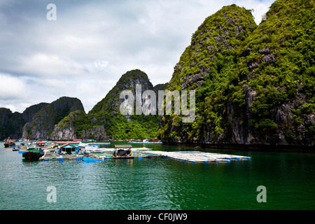 Schwimmende Fischerdörfer in Halong Bucht, Vietnam Stockfoto