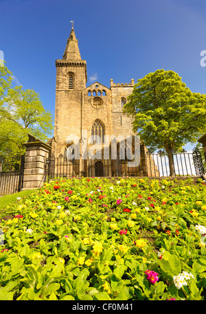 Dunfermline Abbey im Frühjahr Stockfoto