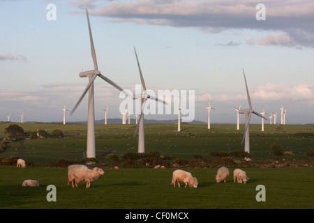 Windparks zwischen Mynydd Mechell und Llanddeusant Stockfoto