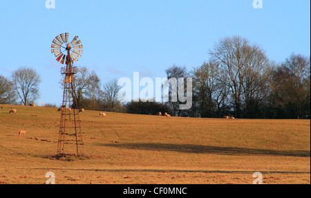 Windpumpe entlang der Severn Valley in der Nähe von Highley, Shropshire, England, Europa Stockfoto