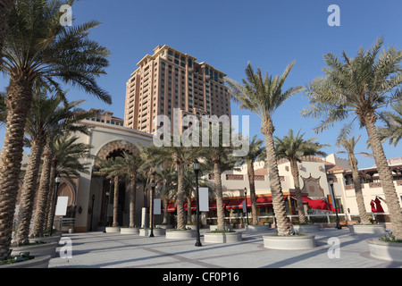 Palmen am The Pearl Promenade in Doha, Katar Stockfoto