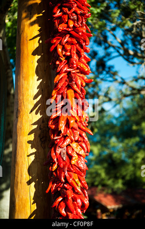 Eine Reihe von Ed hot Chili Peppers an einem Baum hängen und in der Sonne austrocknen Stockfoto