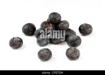 Acai, die kleine Superfrucht aus dem brasilianischen Amazonas, sehr reich an natürlich Nährstoffen und Antioxidantien. Stockfoto