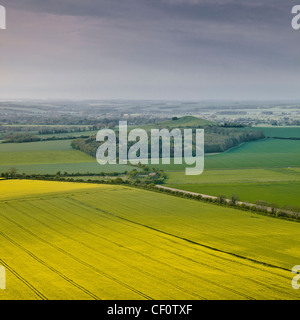 Blick über das Vale of Pewsey in Wiltshire von Knapp Hill. Ein Meer von gelben Raps ist in die folgenden Felder aus. Stockfoto