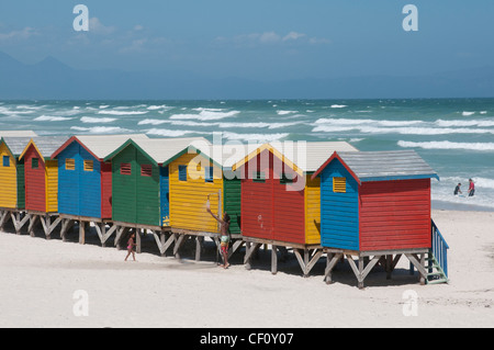 South African blaue Flagge Strand von Muizenberg im Western Cape Stockfoto