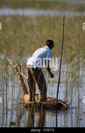 Mann, balancieren auf und Angeln von einem Boot aus Schilf gebaut. Lake Awassa, Äthiopien. Stockfoto