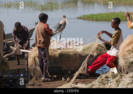 Junge Fischer Reinigung und Faltung Netze. Lake Awasa. Äthiopien. Marabou Storch (Leptoptilos Crumeniferus), warten auf Schrott-Fisch Stockfoto