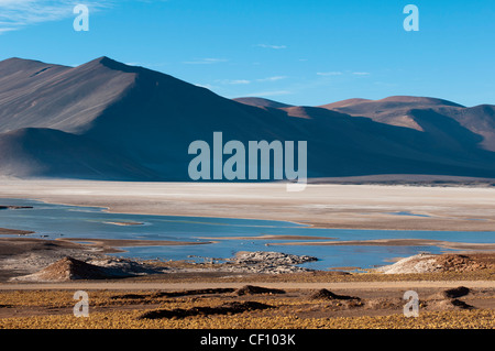Salar de Talar, Atacama Wüste, Chile. Stockfoto