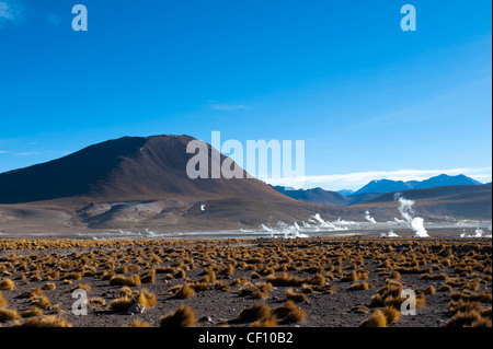 El Tatio Geysire, Atacama Wüste, Chile. Stockfoto