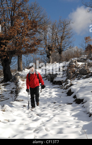 Wanderer zu Fuß auf einem verschneiten Weg in den italienischen Bergen, Basilikata Stockfoto