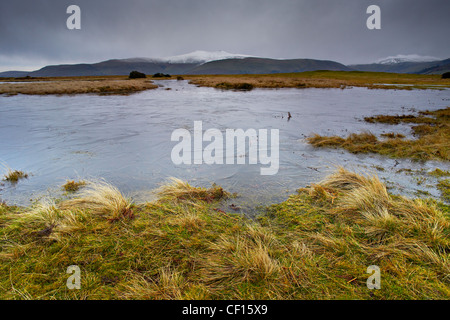 Mynydd Illtud, Brecon Beacons National Park, Wales Stockfoto