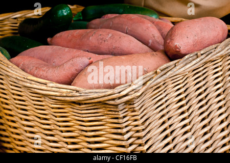 Frisch geernteten Süßkartoffeln in einem Korb Stockfoto