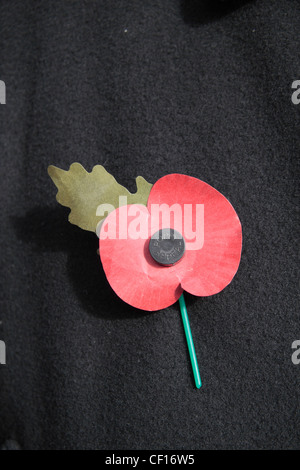 Eine englische künstliche Royal British Legion rote Mohn auf eine dunkle Jacke Hintergrund.  Dies zeigt das grüne Blatt nach oben. (11:00) Stockfoto