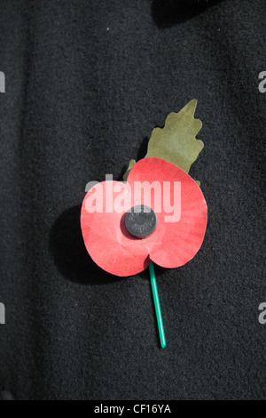 Eine englische künstliche Royal British Legion rote Mohn auf eine dunkle Jacke Hintergrund.  Dies zeigt das grüne Blatt nach oben. (13:00) Stockfoto