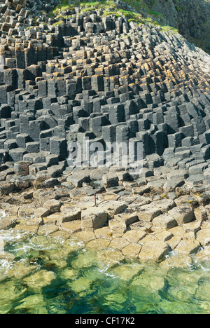 Hexagonal verbunden Basaltsäulen neben Fingal's Cave auf der Isle of Personal Mull in Schottland Stockfoto