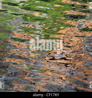 Spiegelungen im Wasser Stockfoto