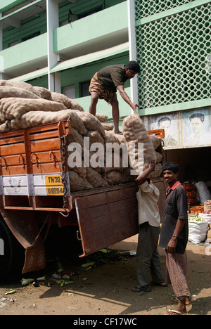 Laden Arbeitnehmer Entladen große Zwiebel Säcke Importieren aus Tamil Nadu Lkw zum Godown von Chalai Basar Thiruvananthapuram Kerala, Indien Stockfoto