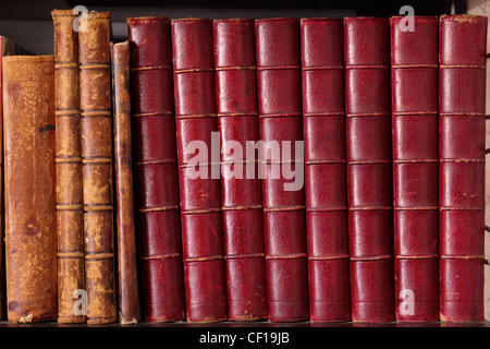 Alte Bücher Stockfoto