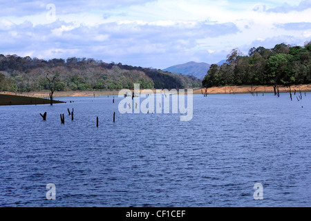 Thekkady, Periyar Nationalpark, Kerala, Indien Stockfoto